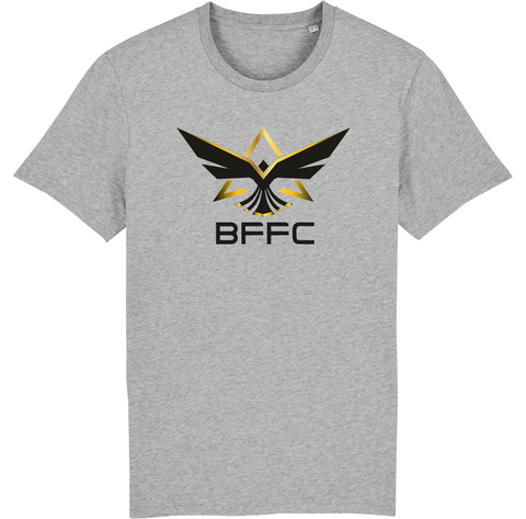 Falcons Herren T-Shirt "schwarz-gold"